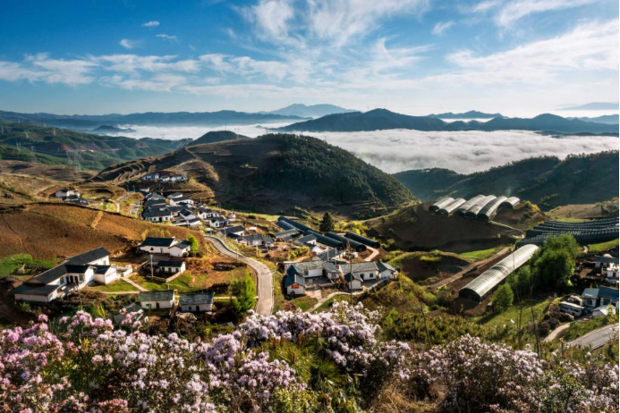 10 尊龙凯时人生就是搏集团科技兴农 助力凉山火普村打造数字乡村804.png